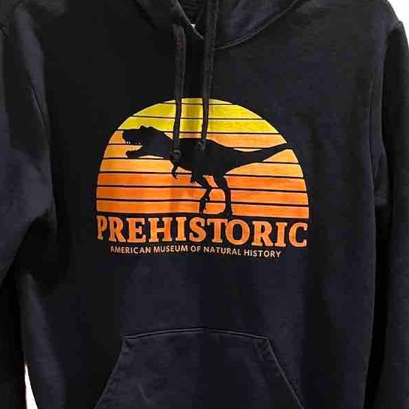 American Museum Of Natural History (NYC) Hoodie ~ T-Rex - Small - Picture 3 of 3